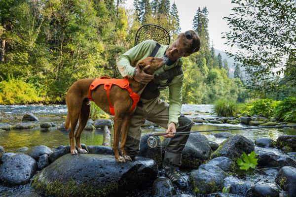 Ruffwear Web Master Hundegeschirr Blaze Orange Gr. L/XL Ruffwear Web Master Hundegeschirr Blaze Orange Gr. L/XL